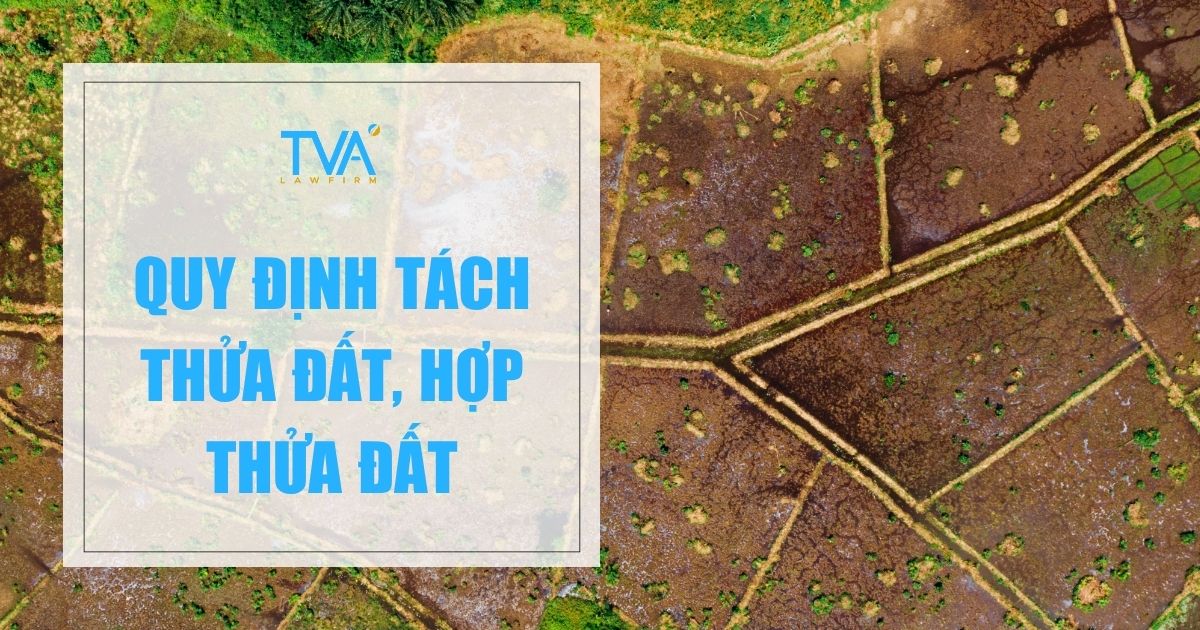 Quyết định 35/2022/QĐ-UBND do UBND tỉnh Đồng Nai ban hành ngày 29/8/2022