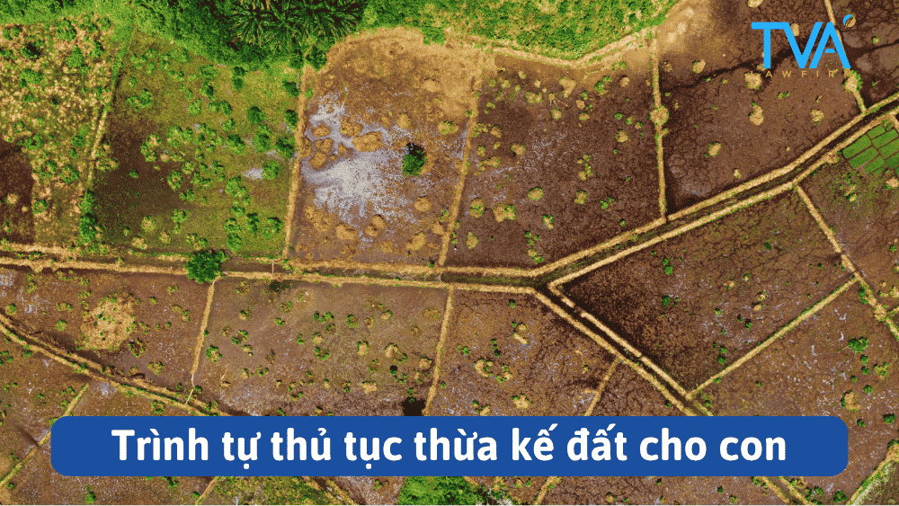 Trình tự thủ tục thừa kế đất cho con